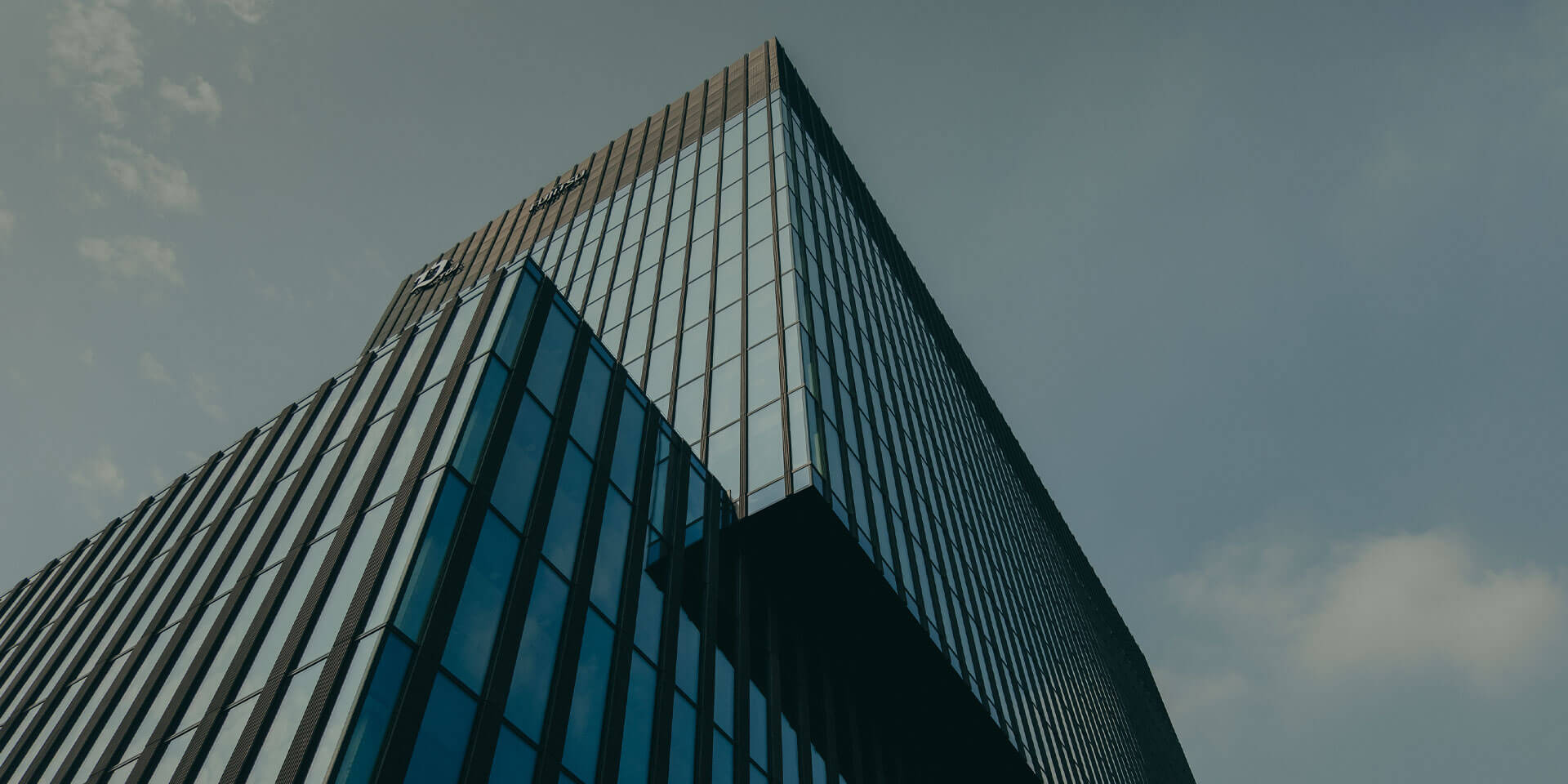 Insights and analysis