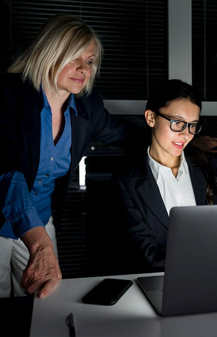 Quantitative research and surveys